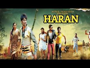 Haran Poster Haran 2020