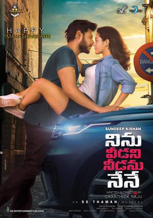 Ninu Veedani Needanu Nene Poster Ninu Veedani Needanu Nene 2019