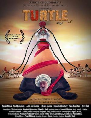 Turtle Poster Turtle 2018