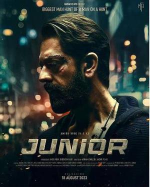Junior Poster Junior 2023