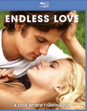 Endless Love Poster Endless Love 2014