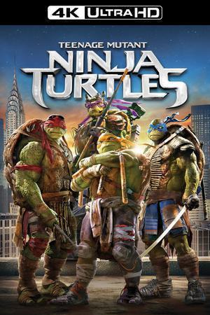 Teenage Mutant Ninja Turtles Poster Teenage Mutant Ninja Turtles 2014