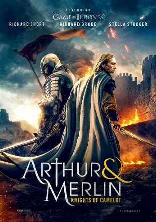 Arthur & Merlin Knights Of Camelot Poster Arthur & Merlin Knights Of Camelot 2020