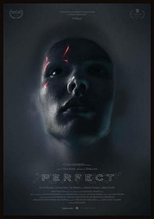 Perfect Poster Perfect 2019