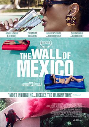 The Wall Of Mexico Poster The Wall Of Mexico 2020