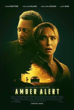 Amber Alert Poster Amber Alert 2024
