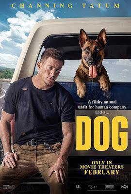 Dog Poster Dog 2022