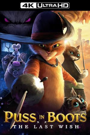 Puss In Boots: The Last Wish Poster Puss In Boots: The Last Wish 2022
