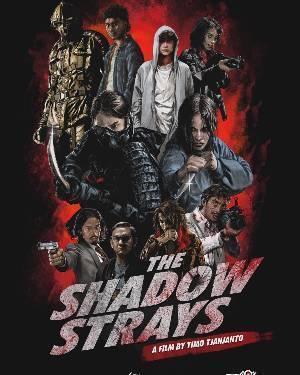 The Shadow Strays 2024