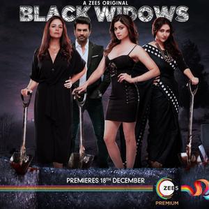 Black Widows S01 Poster Black Widows S01 2020 Zee5