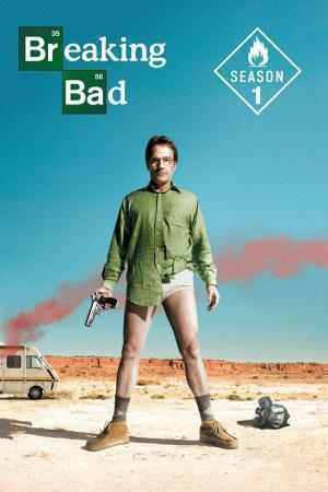 Breaking Bad S01 Poster Breaking Bad S01 2008