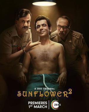 Sunflower S02 2024