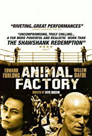 ANIMAL FACTORY Poster