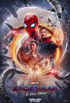 SPIDER-MAN: NO WAY HOME Poster