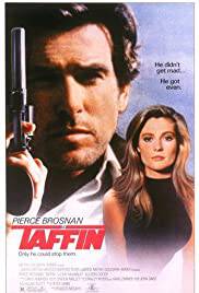 TAFFIN Poster