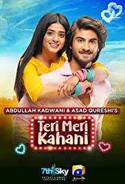 TERI MERI KAHANI Poster
