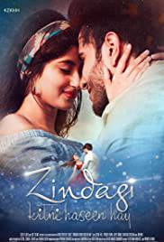 ZINDAGI KITNI HASEEN HAY Poster